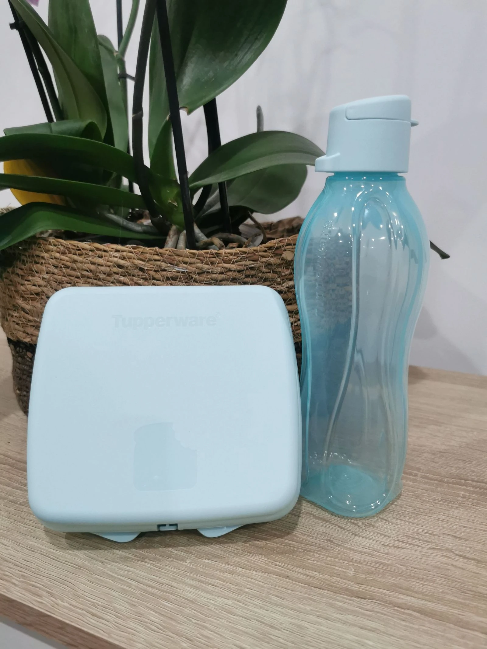 Garrafa 500ml e sanduicheira